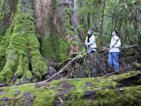 Hastings Caves And Thermal Springs - Tourism Cairns 2