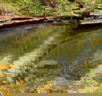 Hominy Creek Walking Track - Tourism Cairns