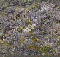 Horsnell Gully and Giles Conservation Parks - Tourism Cairns