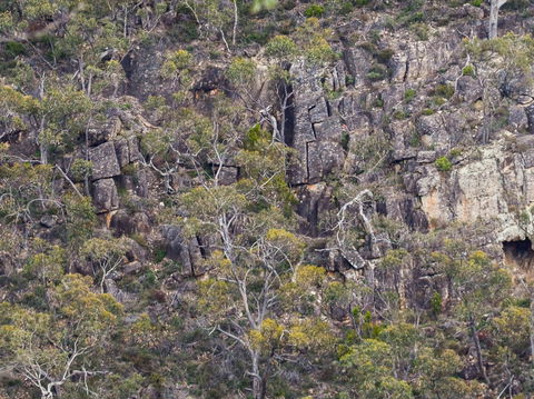 Horsnell Gully And Giles Conservation Parks - Tourism Cairns 0