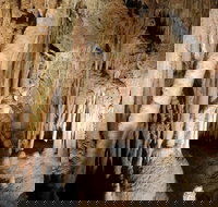 Jillabenan Cave - Tourism Cairns