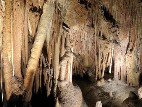 Jillabenan Cave - Tourism Cairns 0