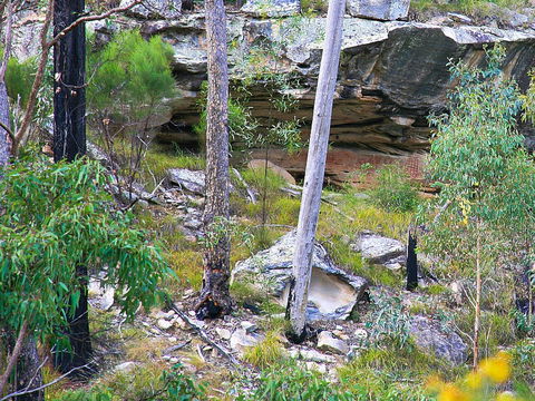 Ka Ka Mundi, Carnarvon National Park - Tourism Cairns 1