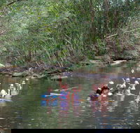 Kerewong State Forest - Tourism Cairns