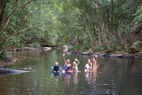 Kerewong State Forest - Tourism Cairns 0