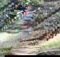 Kidsons Cycles - Tourism Cairns