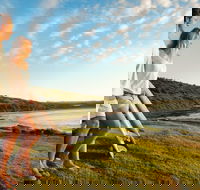 Killalea Reserve - Tourism Cairns