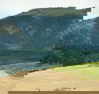 Langi Ghiran State Park - Tourism Cairns