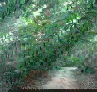 Lawn Hill - Tourism Cairns