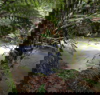 Marriotts Falls and Junee Caves - Tourism Cairns