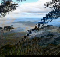 Mount Imlay National Park - Tourism Cairns