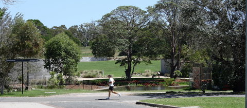 Mt Penang Gardens - Tourism Cairns 1