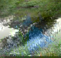 Mullion Range State Conservation Area - Tourism Cairns