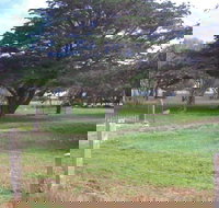 Old Cemetery Kingscote - Tourism Cairns