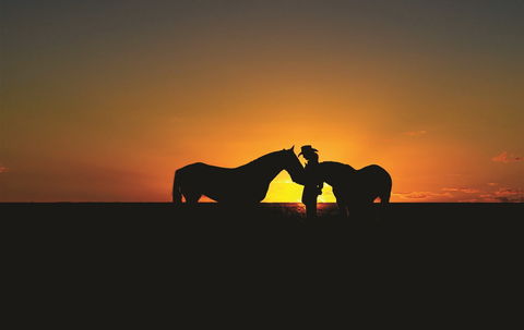 Outback Pony Rides Farm Experience - Tourism Cairns 0