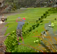 Pambula Merimbula Golf Club - Tourism Cairns