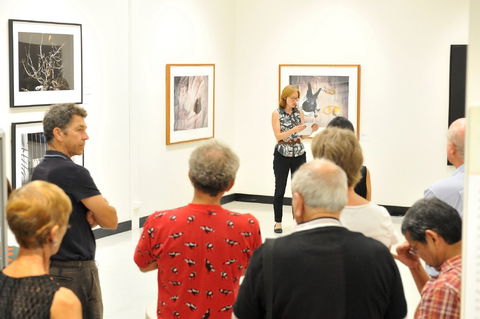Pine Rivers Art Gallery - Tourism Cairns 1