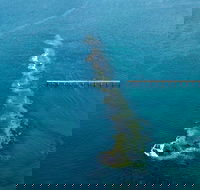 Port Noarlunga Reef Sanctuary Zone - Encounter Marine Park - Tourism Cairns