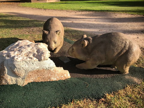 Queen Square, Moonta - Tourism Cairns 1