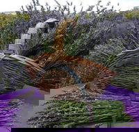 Rustique Lavender Farm - Tourism Cairns
