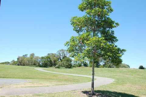 Samford Valley Rail Trail - Tourism Cairns 2