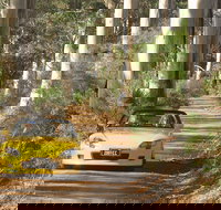 Scotsdale Tourist Drive - Tourism Cairns