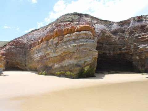 Shelley Caves - Tourism Cairns 0