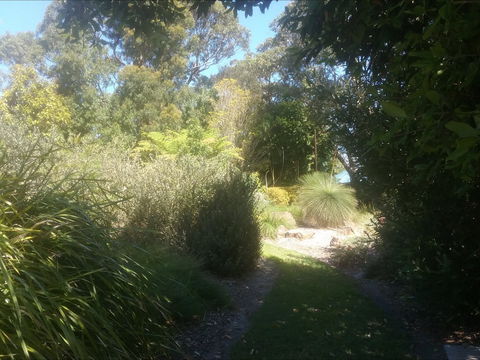 Shoalhaven Heads Native Botanic Garden - Tourism Cairns 2