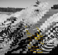 Spring Markets - Tourism Cairns