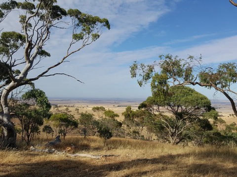 Spring Gully Conservation Park - Tourism Cairns 1