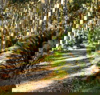 Square Head Track 2 - Tourism Cairns