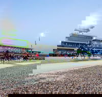 Tabcorp Park - Tourism Cairns
