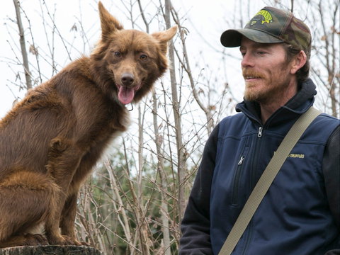 Tarago Truffles - Tourism Cairns 1