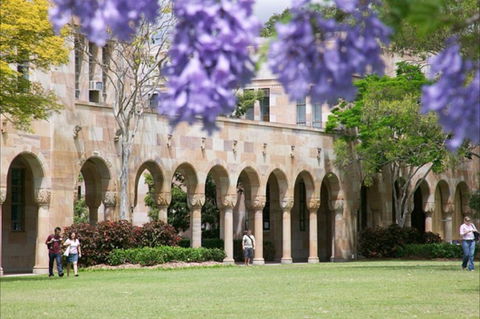 The University Of Queensland - Tourism Cairns 0