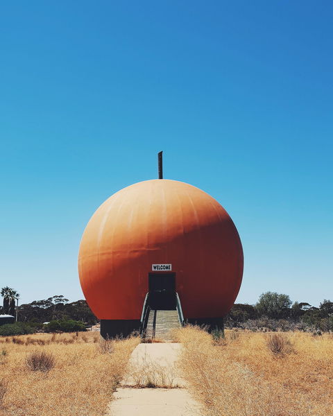 The Big Orange - Tourism Cairns 0