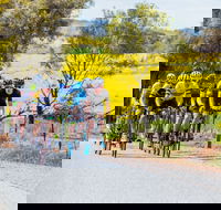 The Heron's Highway - Avon River Cycle Trail - Tourism Cairns
