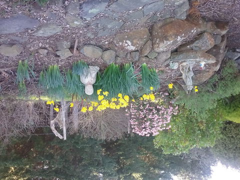 The Quiet Cone - Sound & Relaxation Centre - Tourism Cairns 2