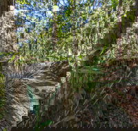 Thylogale Track - Tourism Cairns