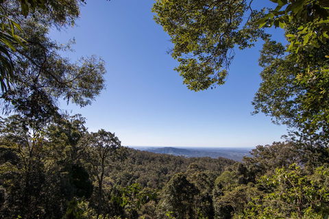 Thylogale Track - Tourism Cairns 2