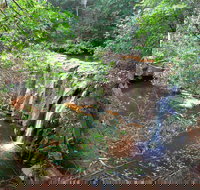 Waitui Falls - Tourism Cairns