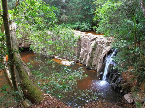 Waitui Falls - Tourism Cairns 0