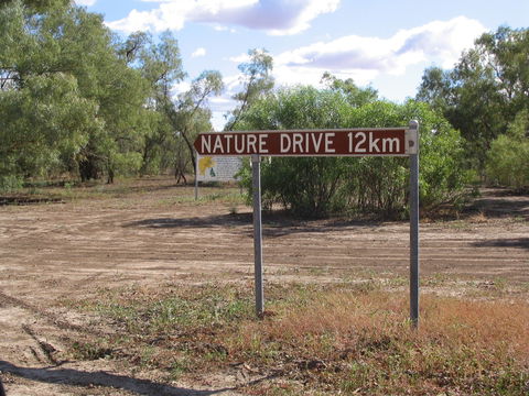 Windorah Nature Drive - Tourism Cairns 0