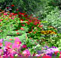 Alma Park - Tourism Cairns