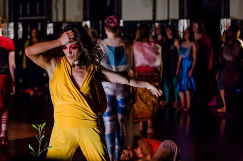 Arts House - Tourism Cairns 0