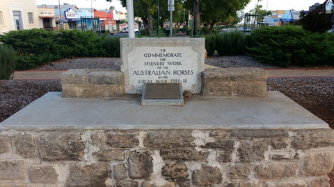 Barmera Horse Trough - Tourism Cairns 0