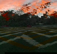 Bellingham Maze - Tourism Cairns