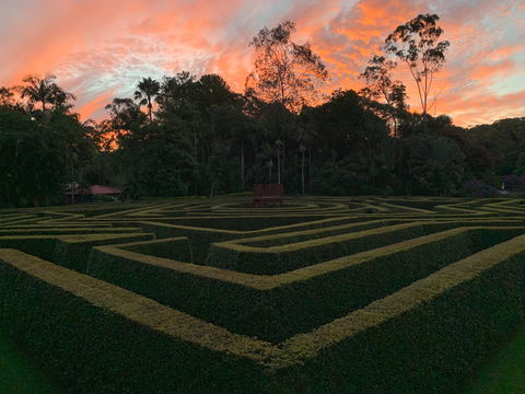 Bellingham Maze - Tourism Cairns 0