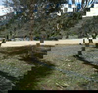 Bombala Platypus Reserve - Tourism Cairns