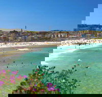 Bondi - Tourism Cairns
