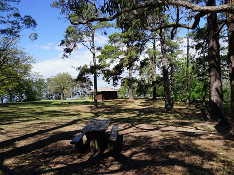 Bowen Mountain Park - Tourism Cairns 0